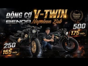 Benda Napoleon bob 250 hay 500