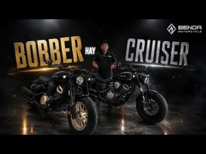Nên chọn Benda Napoleon Bob 500 hay Benda Chinchilla 500