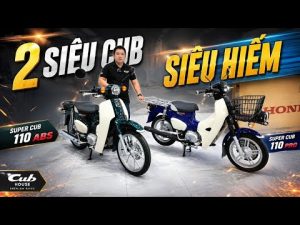 hang hiem super cub 110 abs cub